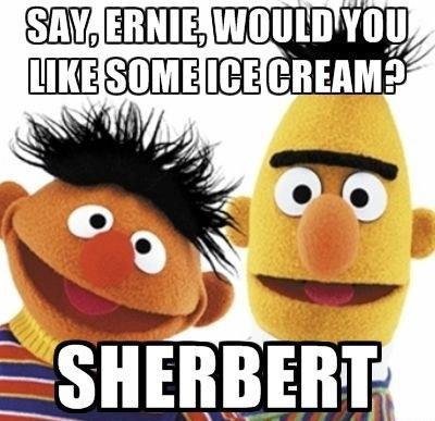 Ernie and Bert Pun